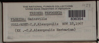 Image Associated With the Occurence